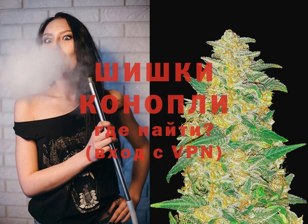 мяу мяу мука Магас