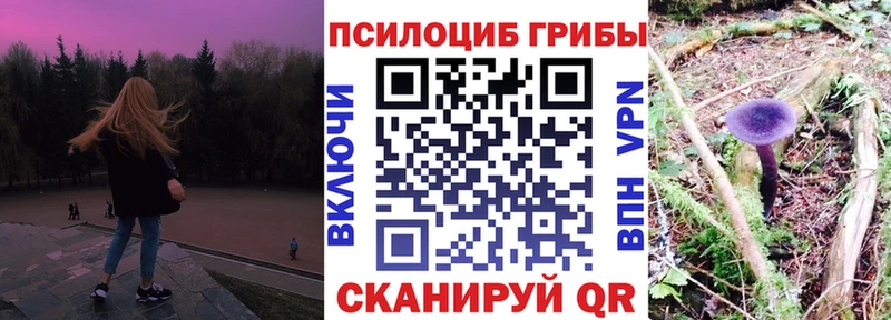Псилоцибиновые грибы GOLDEN TEACHER Слюдянка